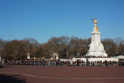photo 184279