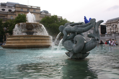 photo 462684