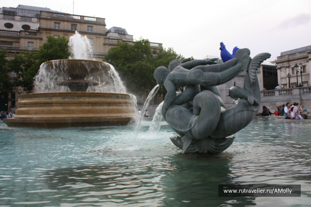 photo 462684