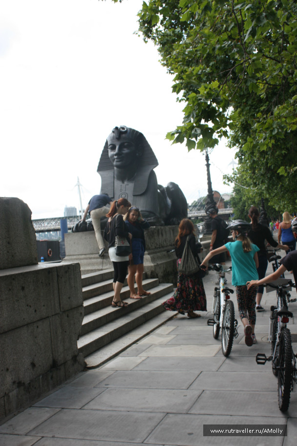 photo 487487
