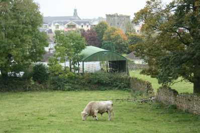 photo 172151