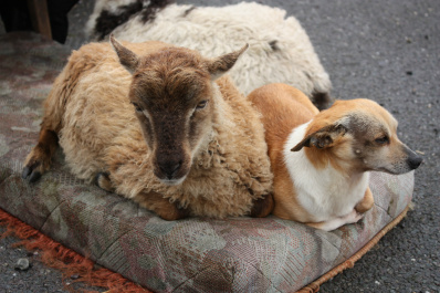 photo 172158