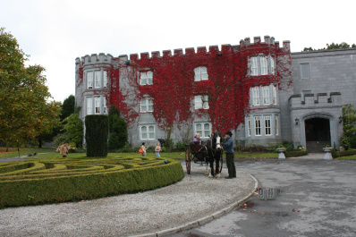 photo 172162
