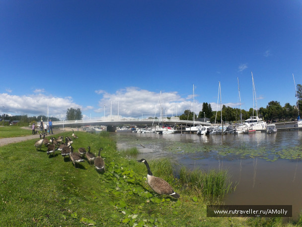 photo 1452960