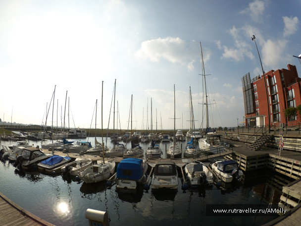 photo 1453004