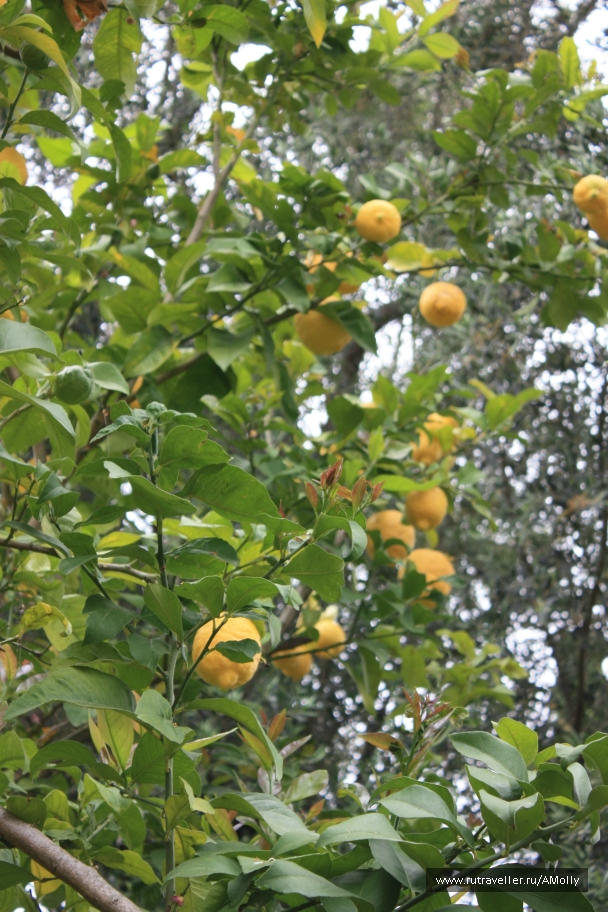 photo 765591