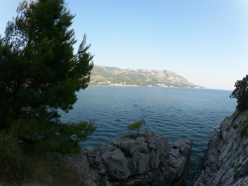 photo 1093085