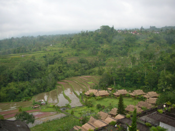 photo 207633