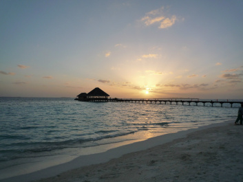 photo 207822