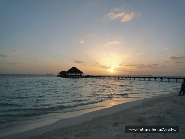 photo 207822