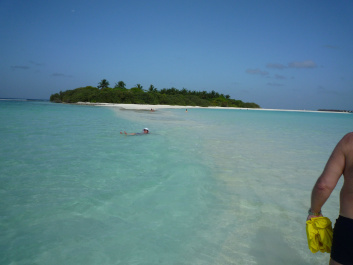 photo 207823