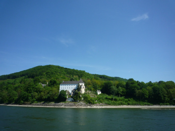 photo 214686