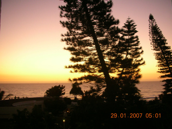 photo 232558