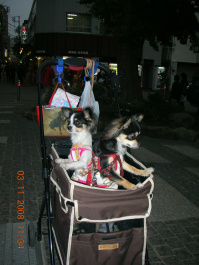 photo 233047