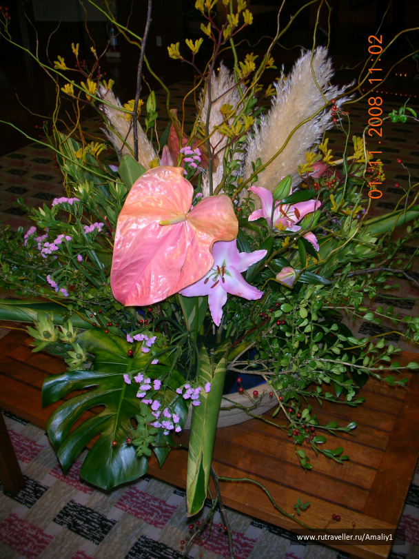 photo 233057