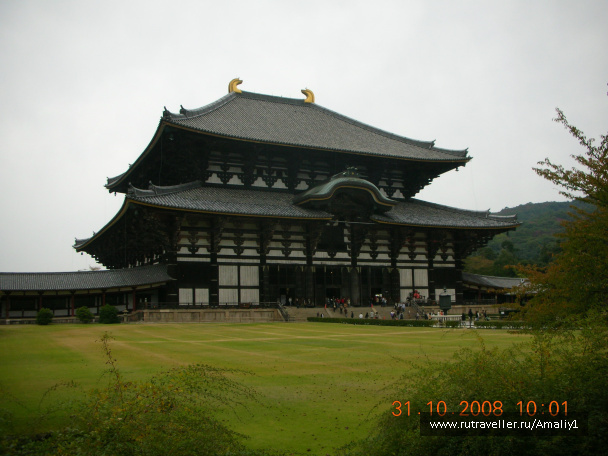 photo 233061