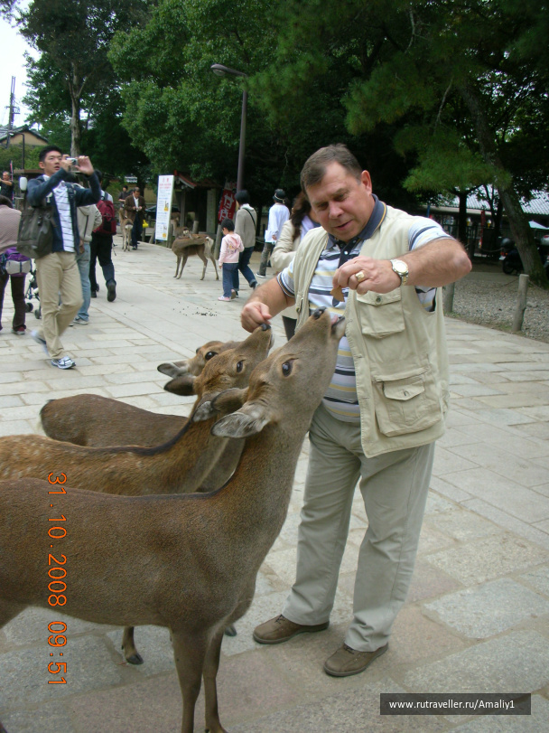 photo 233062