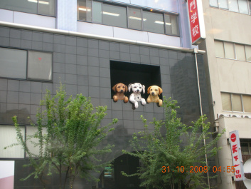photo 233064
