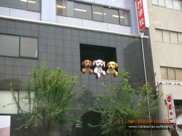 photo 233064