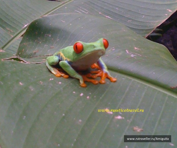 photo 76557