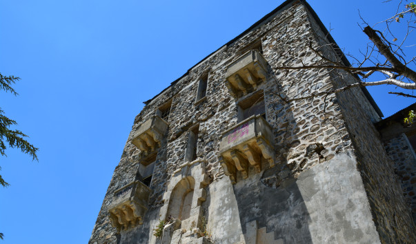 DSC_0546