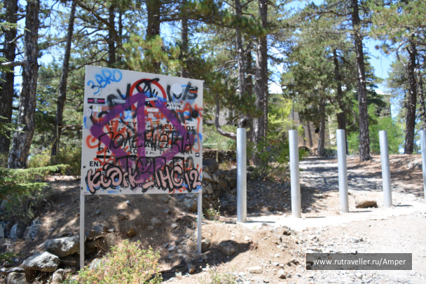 photo 1521616