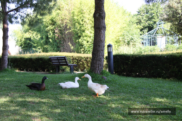 photo 153021