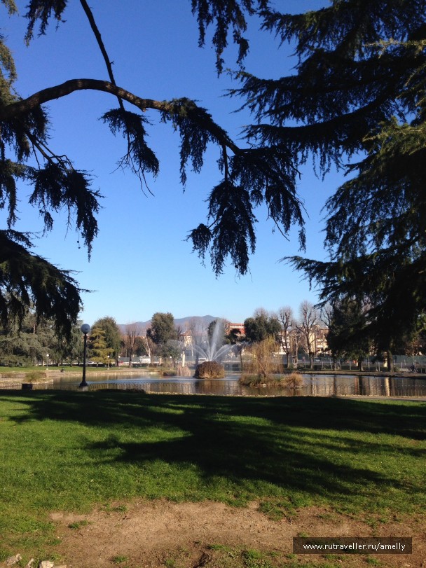 photo 1032081
