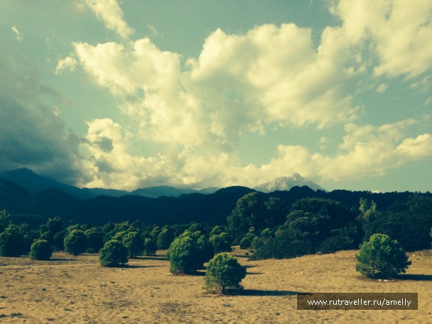 photo 1032428