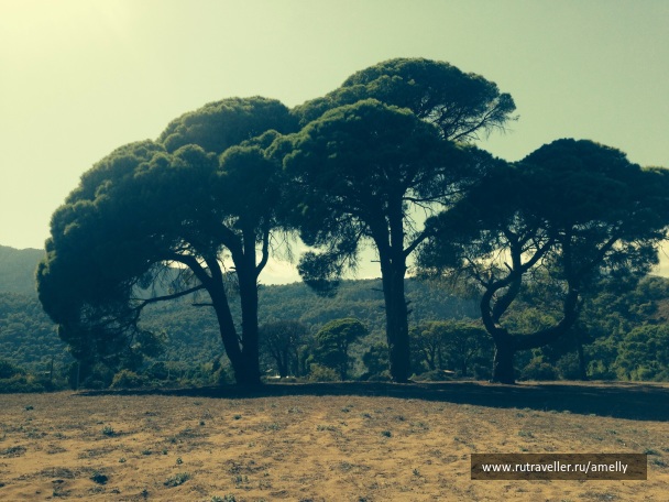 photo 1032429