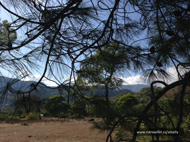 photo 1033317