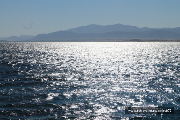 photo 253883