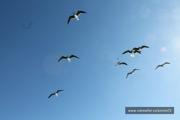 photo 253884