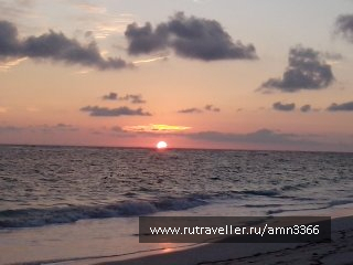 photo 716924