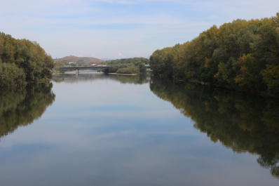 photo 1467067