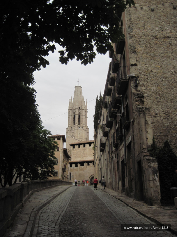 photo 1566734