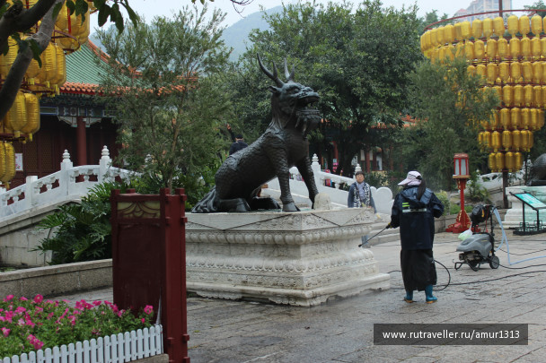 photo 1579790