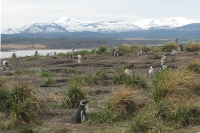 photo 1493158