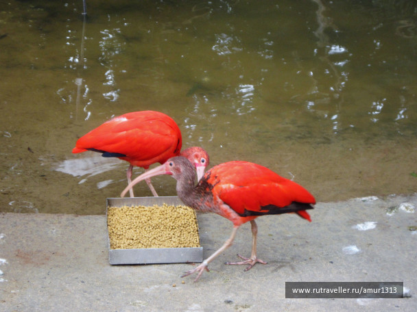 photo 1577134