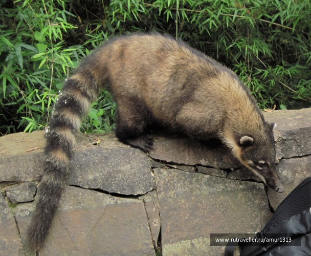photo 1577139