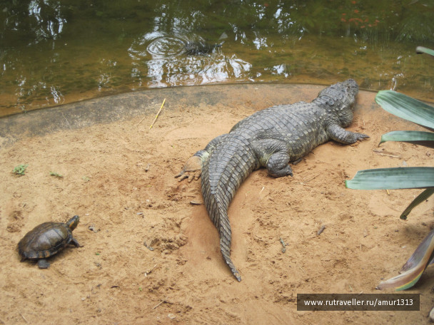 photo 1577142