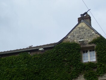 photo 1555316