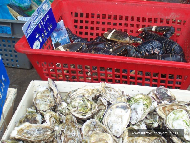 photo 1555317