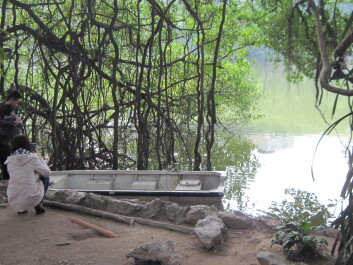 photo 1798373