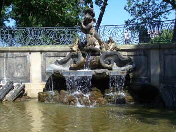 photo 1617446