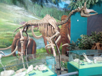 photo 697479