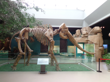 photo 697480
