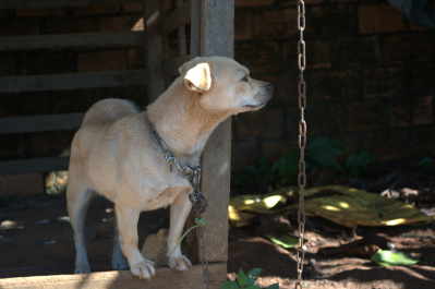 photo 403902