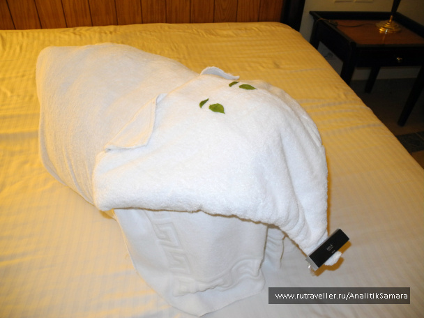 photo 327763