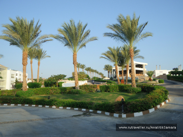 photo 327815